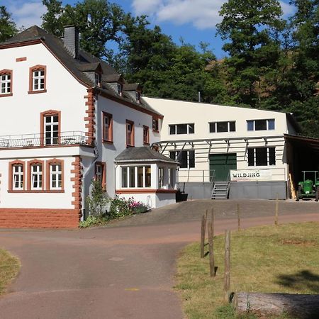 Gaestehaus Herrenmuehle Freudenburg  Екстериор снимка